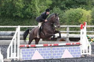 Class 6 - Fences not above 2'9